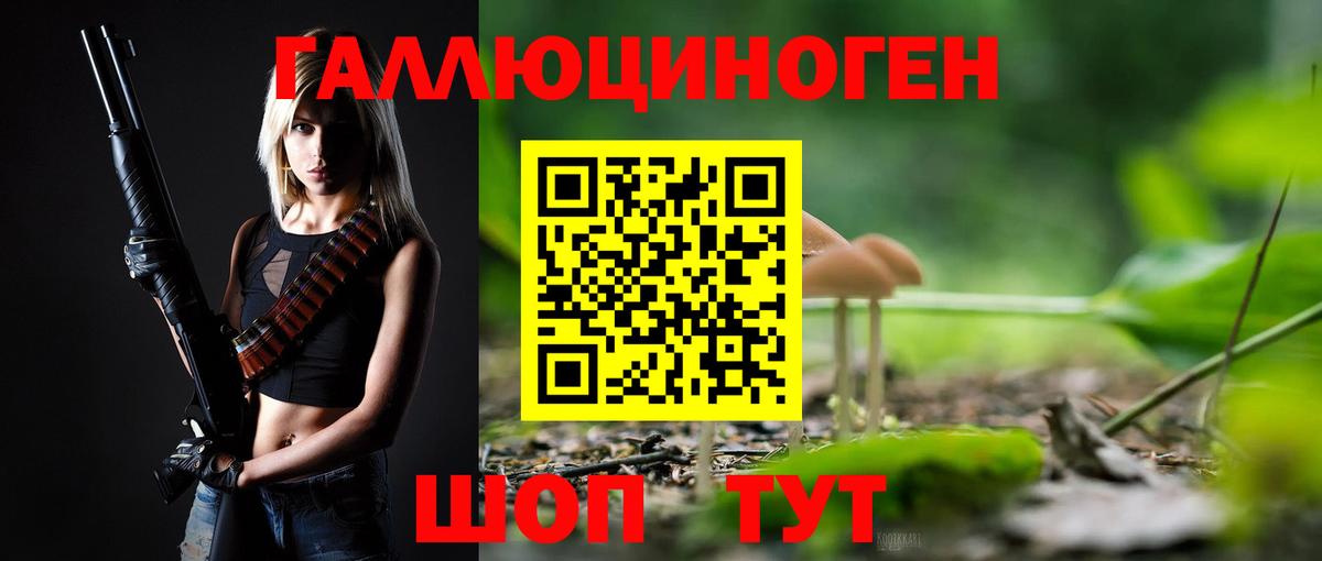 Псилоцибиновые грибы MAGIC MUSHROOMS  Вход с VPN  Сунжа 